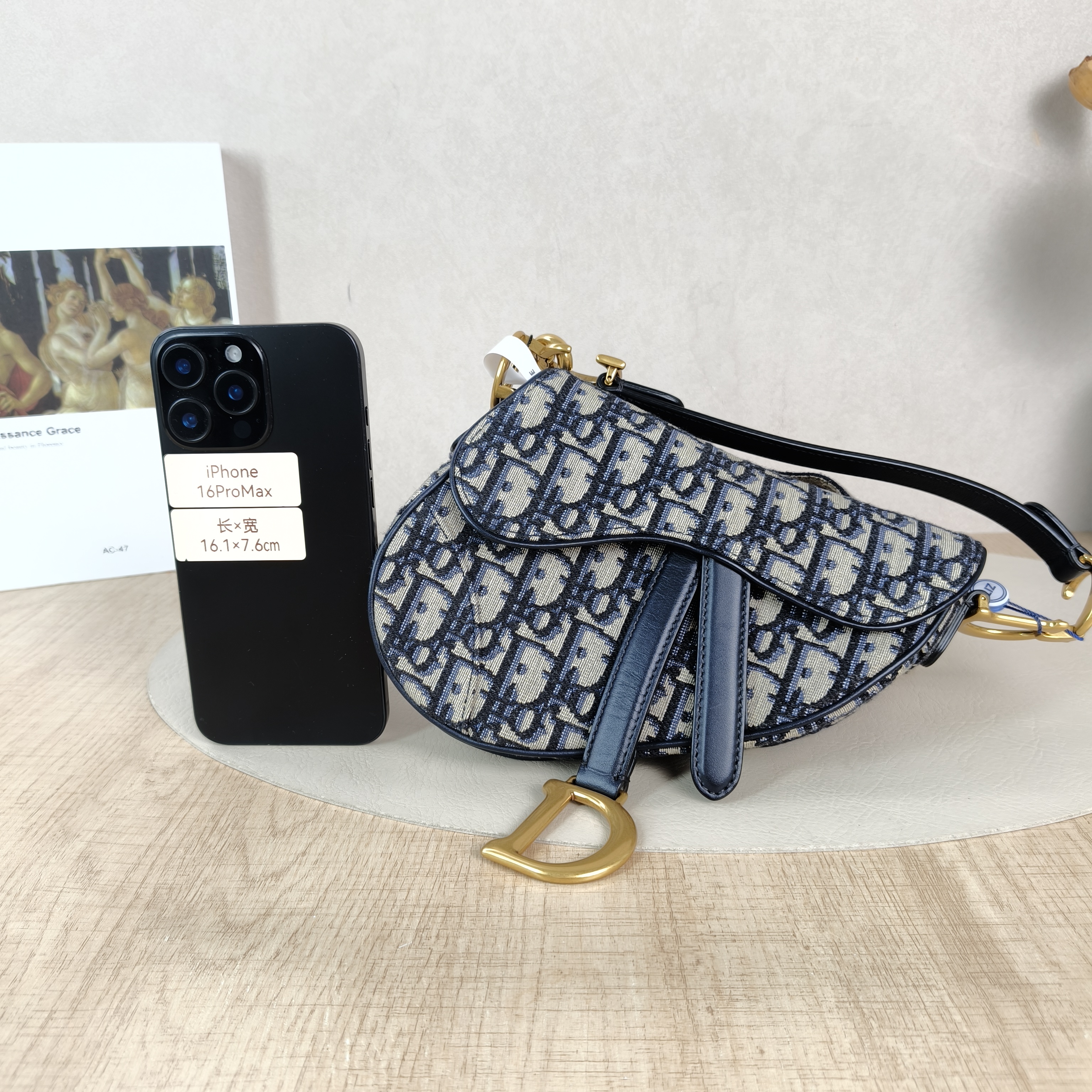 DIOR Top Handle Bag Saddle Blue Canvasmini19 × 6 × 15 cm — cover view 2 of 5