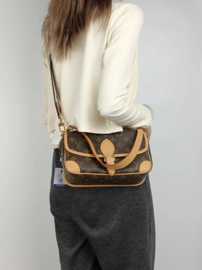 Louis Vuitton Crossbody Bag Diane Baguette Bag Shoulder Strap PVC Small24 × 9 × 15 cm — on-model view 3 of 3
