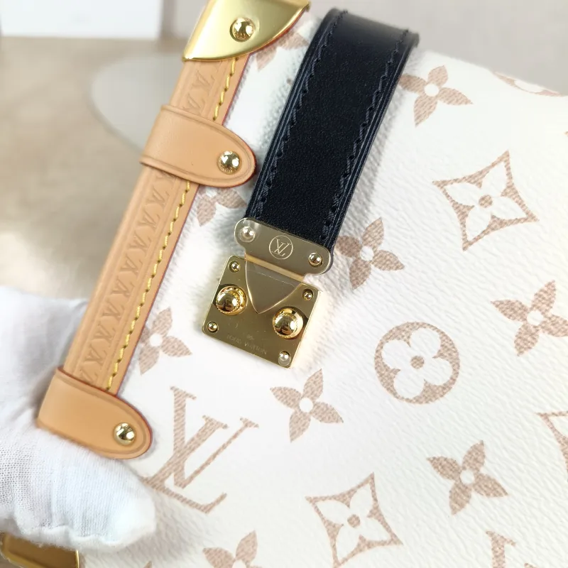 Louis Vuitton Crossbody Bag Side Trunk Box · Black PVC Medium 23.5 × 8.5 × 16 cm — detail view 1 of 11