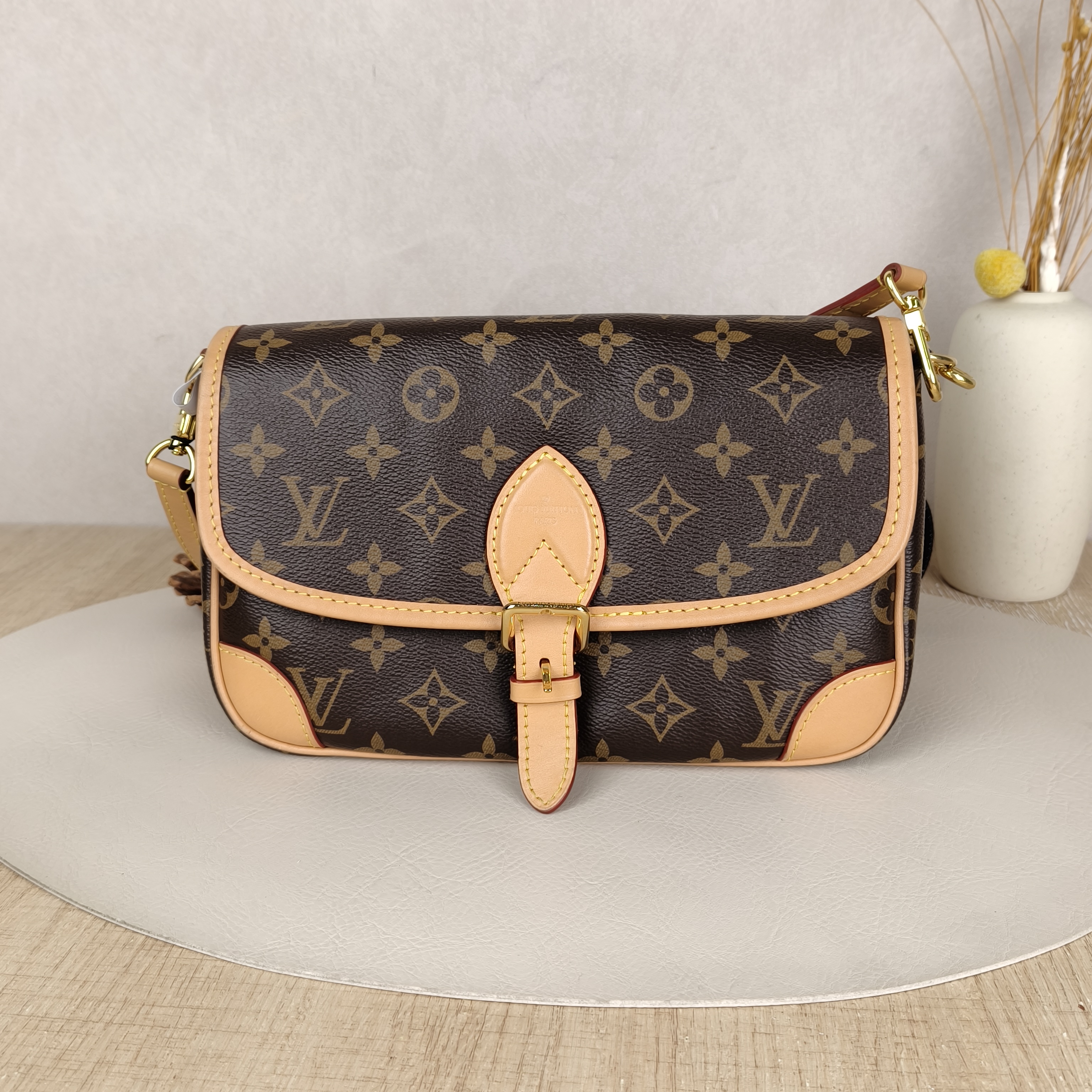 Louis Vuitton Crossbody Bag Diane Baguette Bag Shoulder Strap PVC Small24 × 9 × 15 cm