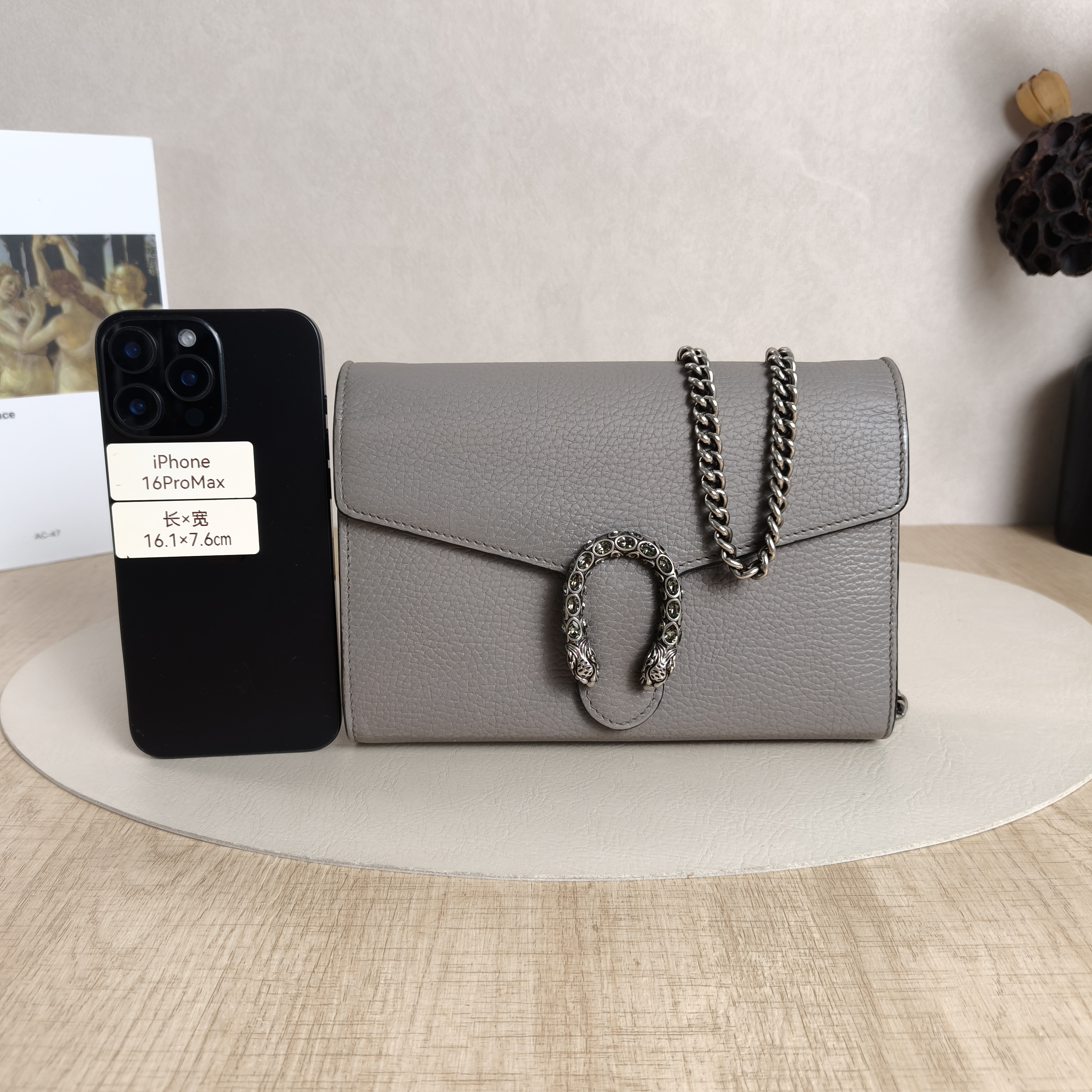 GUCCI Crossbody Bag Dionysus woc Grey Calfskin One Size20 × 5 × 13 cm — cover view 6 of 11