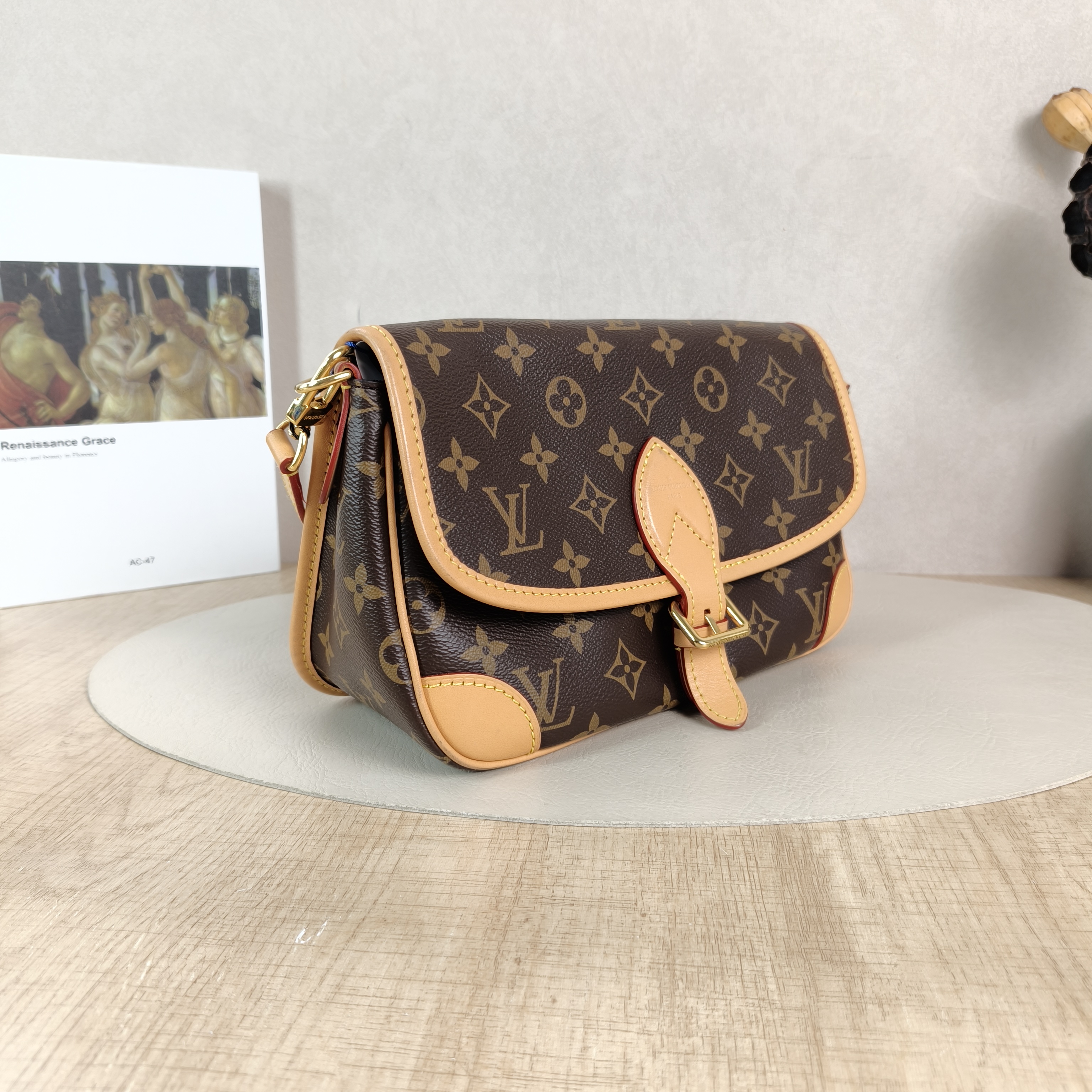 Louis Vuitton Crossbody Bag Diane Baguette Bag Shoulder Strap PVC Small24 × 9 × 15 cm — cover view 4 of 5