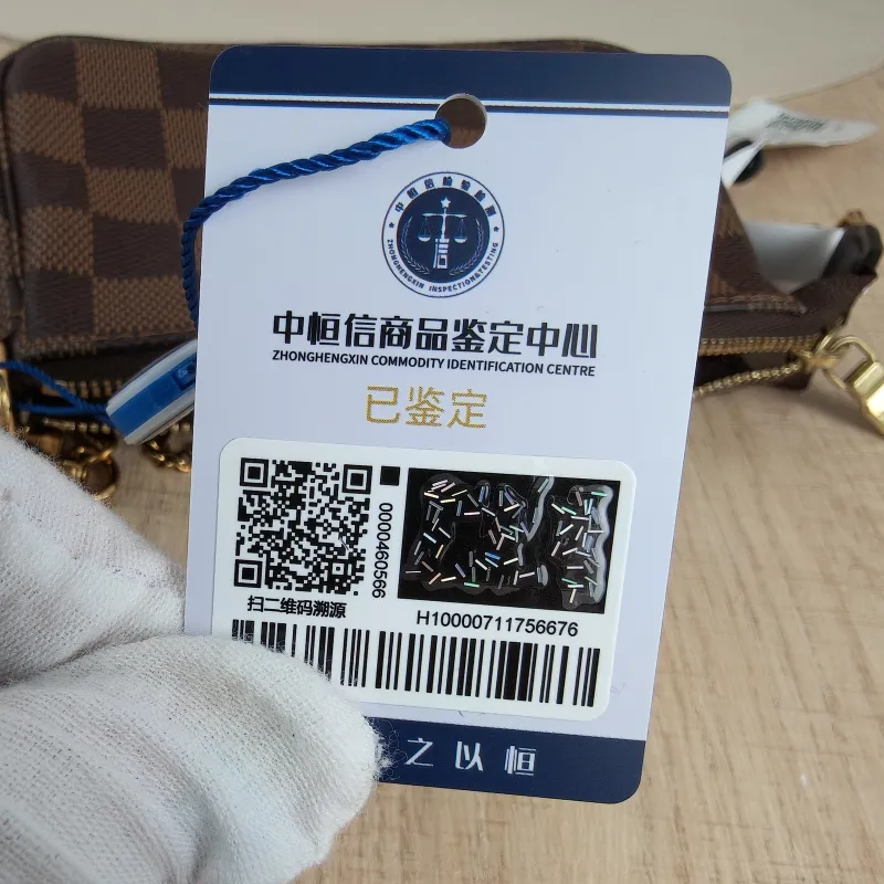 Louis Vuitton Clutch Mini Pochette Accessoires PV Cmini15.5 × 4 × 10.5 cm — detail view 6 of 10