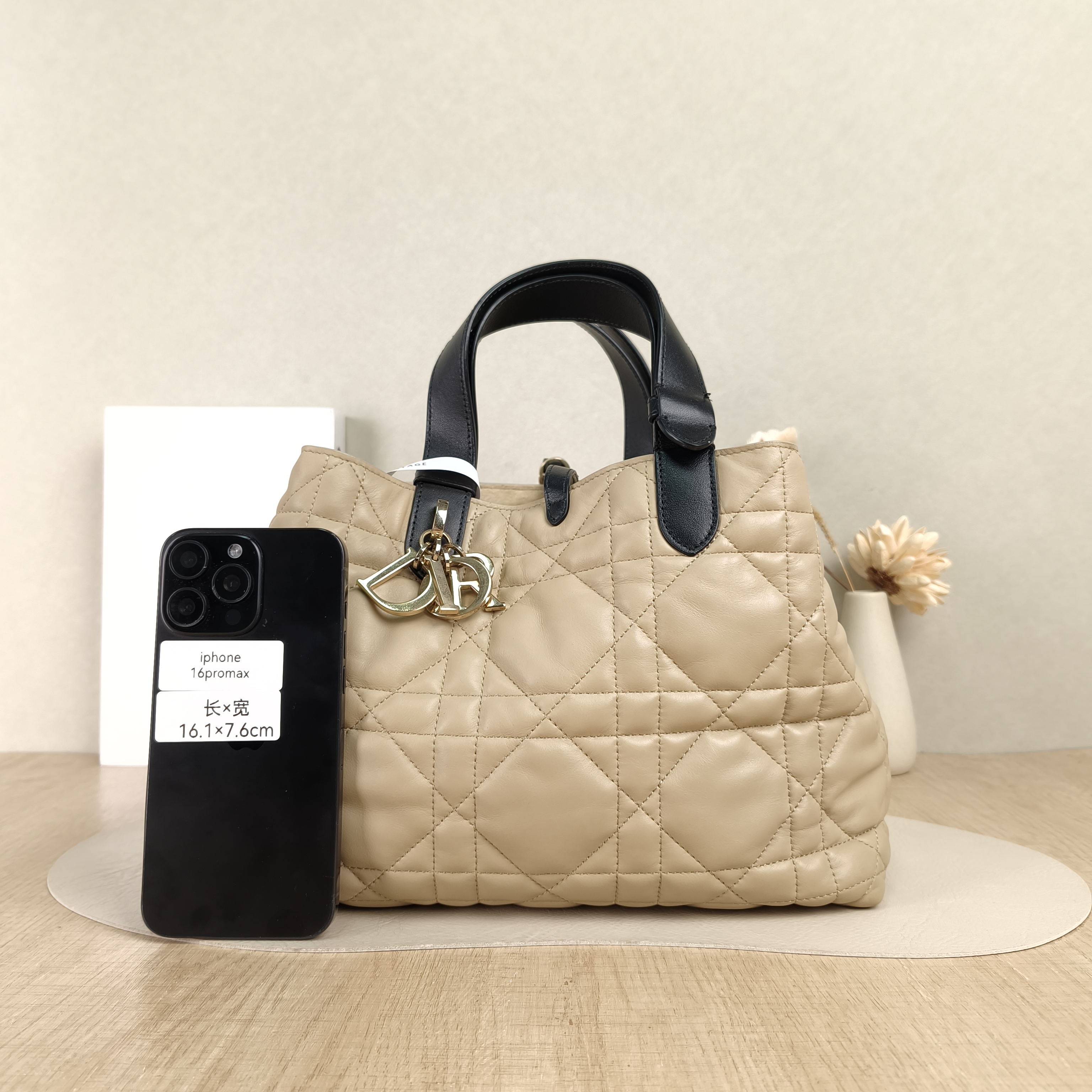 DIOR Top Handle Bag TOUJOURS Beige Black Calfskin Medium28.5 × 17 × 21.5 cm — cover view 5 of 5