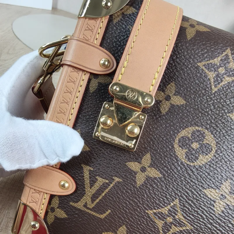 Louis Vuitton Crossbody Bag Side Trunk Box Monogram PVC Medium 23.5 × 8.5 × 16 cm — detail view 6 of 12