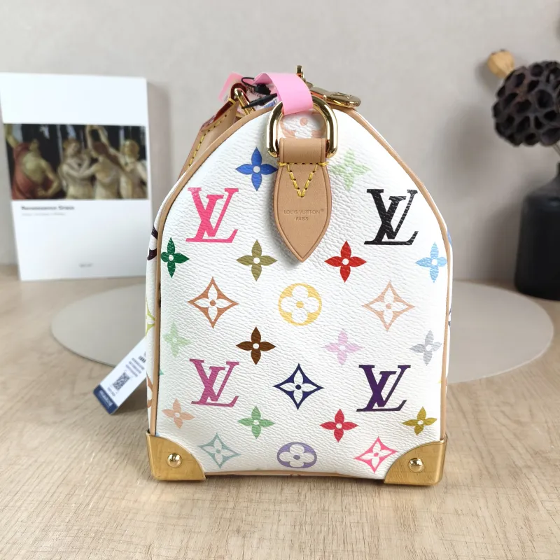 Louis Vuitton Crossbody Bag Speedy25 Multicolore PVC Medium 25 × 15 × 19 cm — detail view 13 of 13