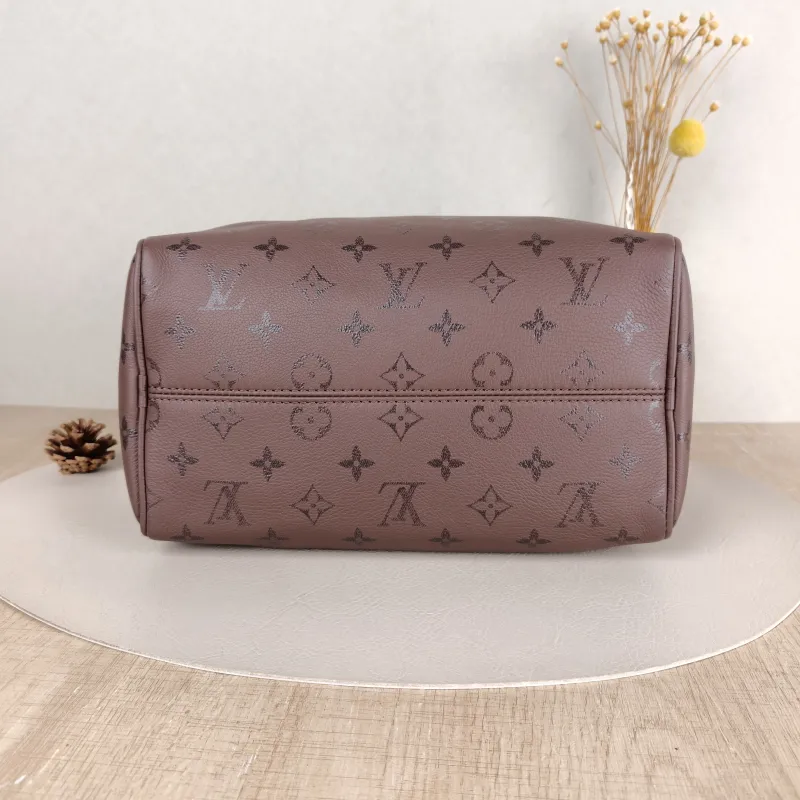 Louis Vuitton Top Handle Bag Speedy Soft 25 Calfskin One Size 25 × 15 × 20 cm — cover view 2 of 5