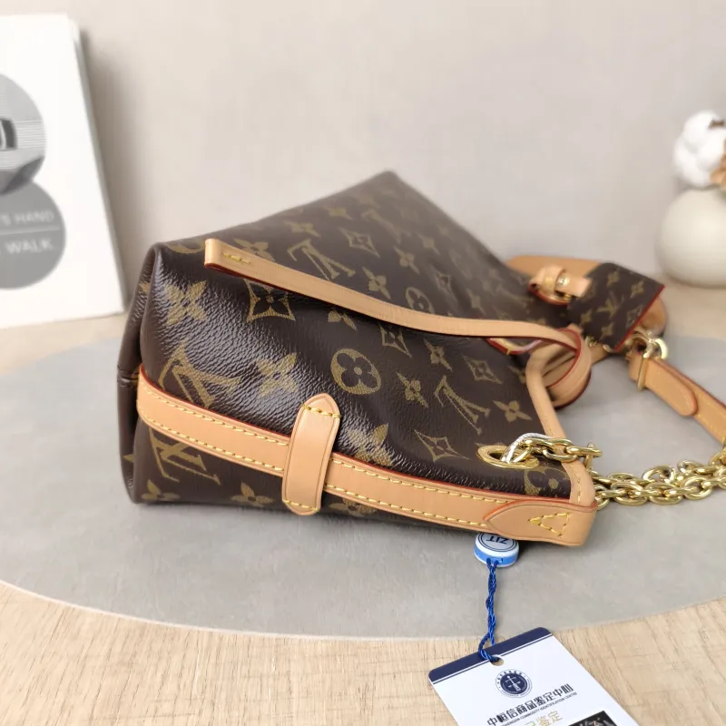Louis Vuitton Crossbody Bag Carryall BB Monogram PVCBB26 × 10 × 17 cm — detail view 4 of 13