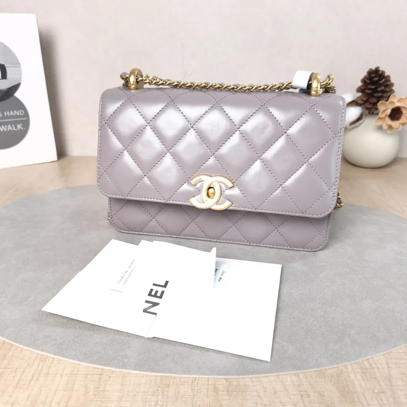 Chanel Crossbody Bag woc Calfskin Medium22 × 8 × 14.5 cm — cover view 2 of 6