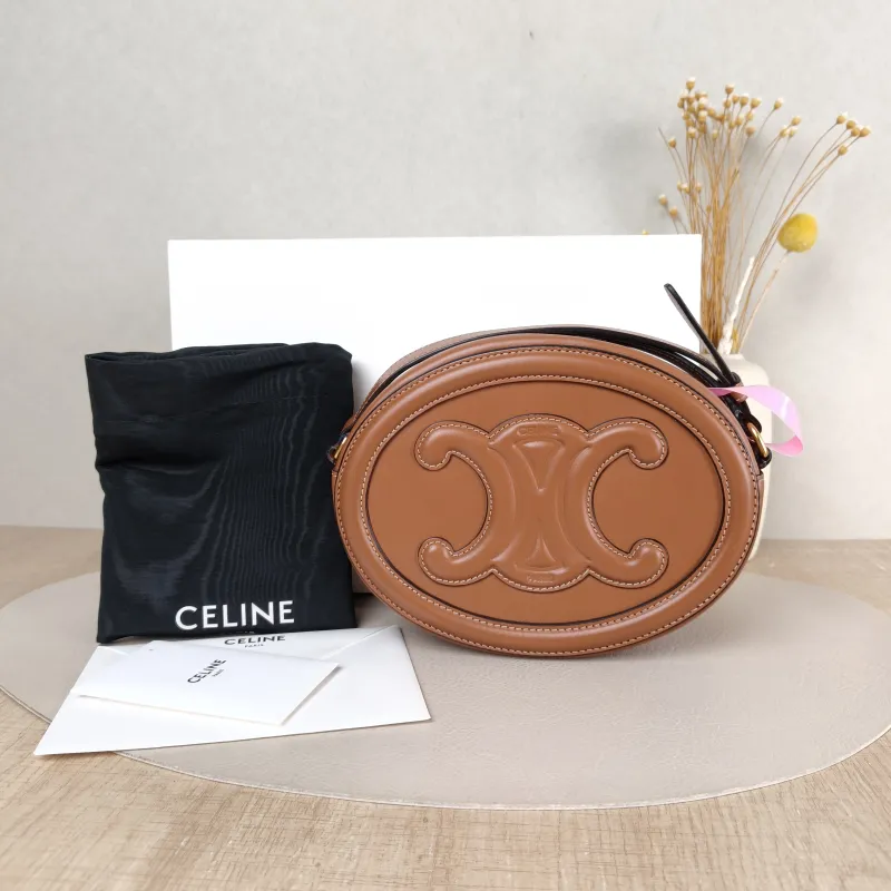 CELINE Crossbody Bag Cuir Triomphe Brown Calfskin Large 20 × 6 × 15 cm — cover view 3 of 6