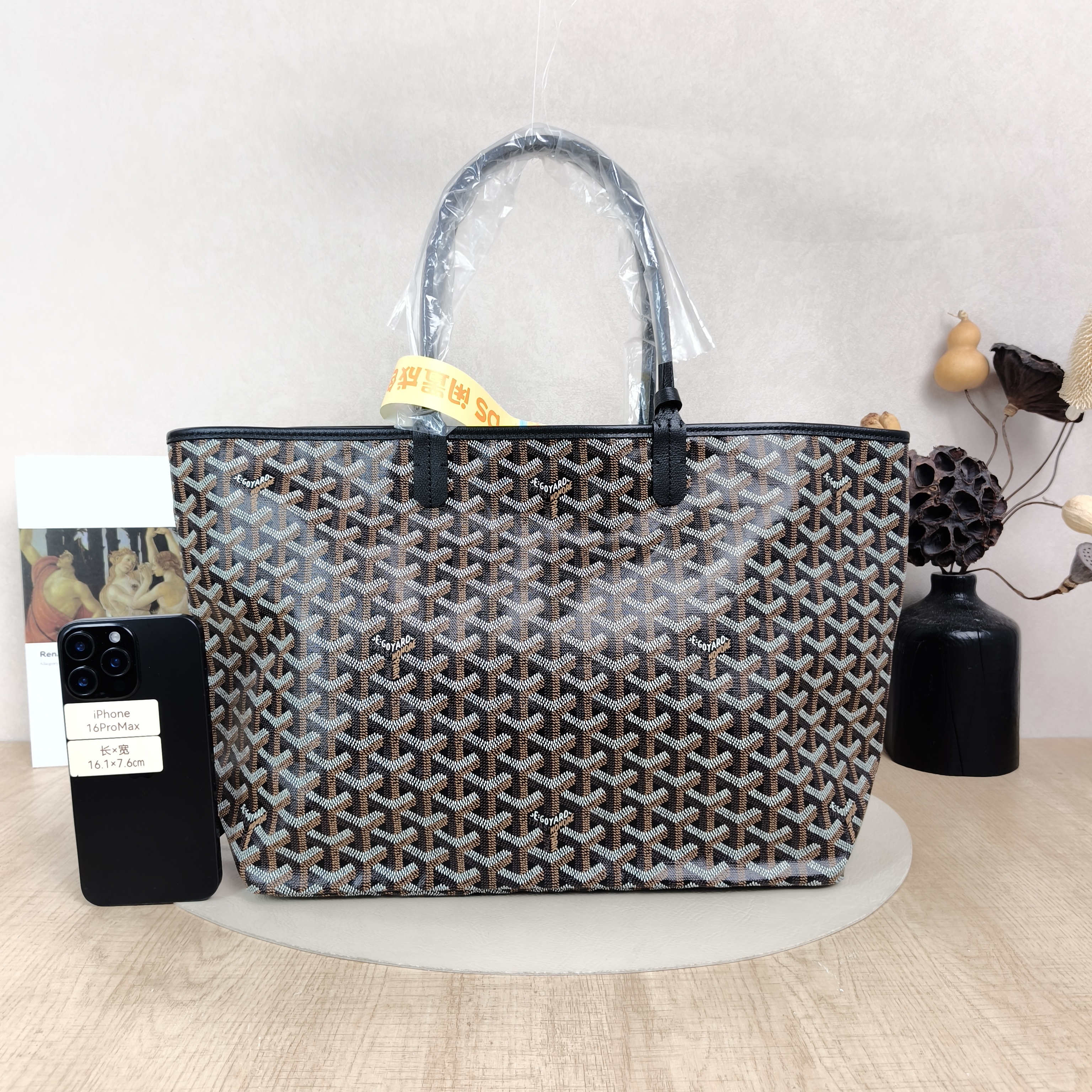 GOYARD Pre-Owned Bag · DS60709710 — cover view 5 of 6