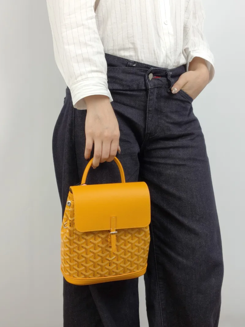 GOYARD Crossbody Bag ALPIN Backpack Yellow PVC Mini 19 × 9.5 × 23 cm — on-model view 1 of 3