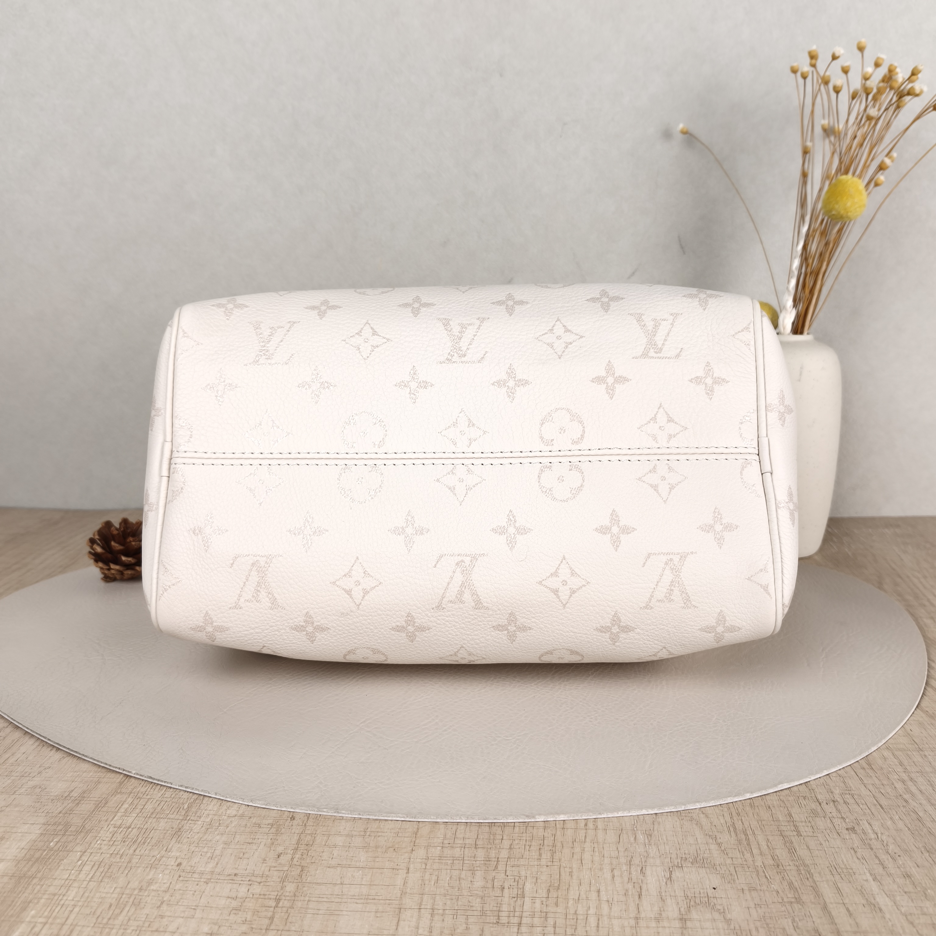 Louis Vuitton Bag — cover view 6 of 6