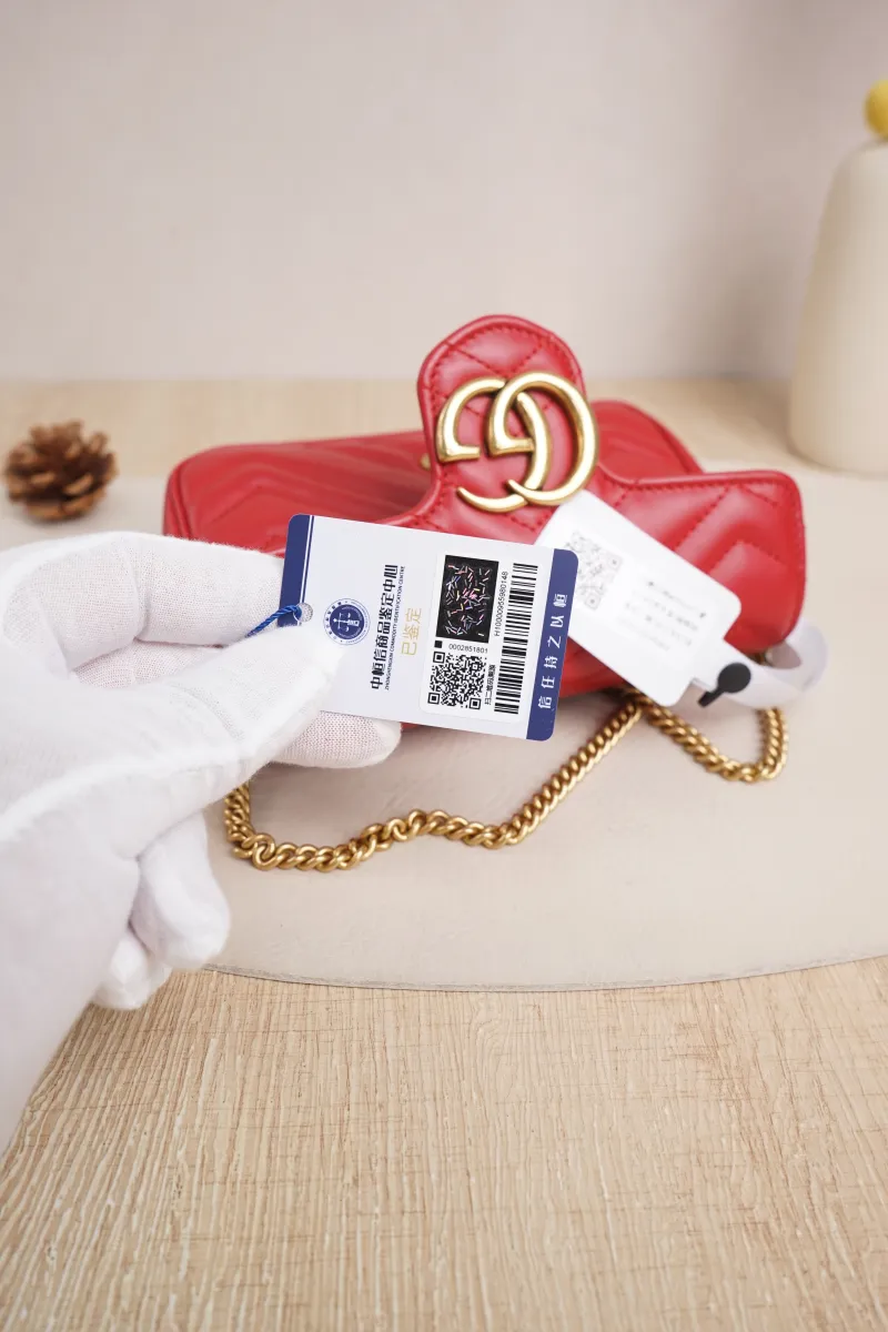 GUCCI Pre-Owned Bag · DS089303 — detail view 17 of 19