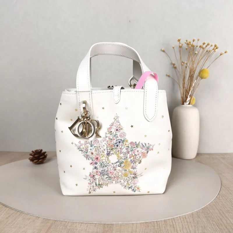 DIOR Top Handle Bag TOUJOURS Edition White Calfskin Small 18.5 × 12 × 18.5 cm