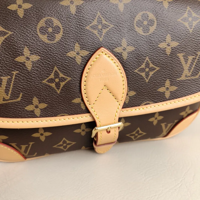 Louis Vuitton Crossbody Bag Diane Baguette Bag Shoulder Strap PVC Small 24 × 9 × 15 cm — detail view 7 of 12