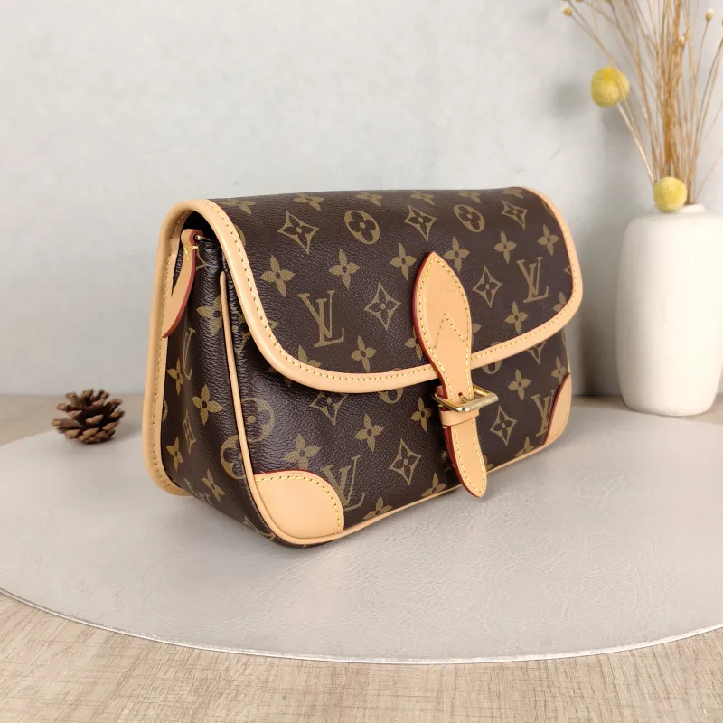 Louis Vuitton Crossbody Bag Diane Baguette Bag Shoulder Strap PVC Small 24 × 9 × 15 cm — cover view 5 of 6