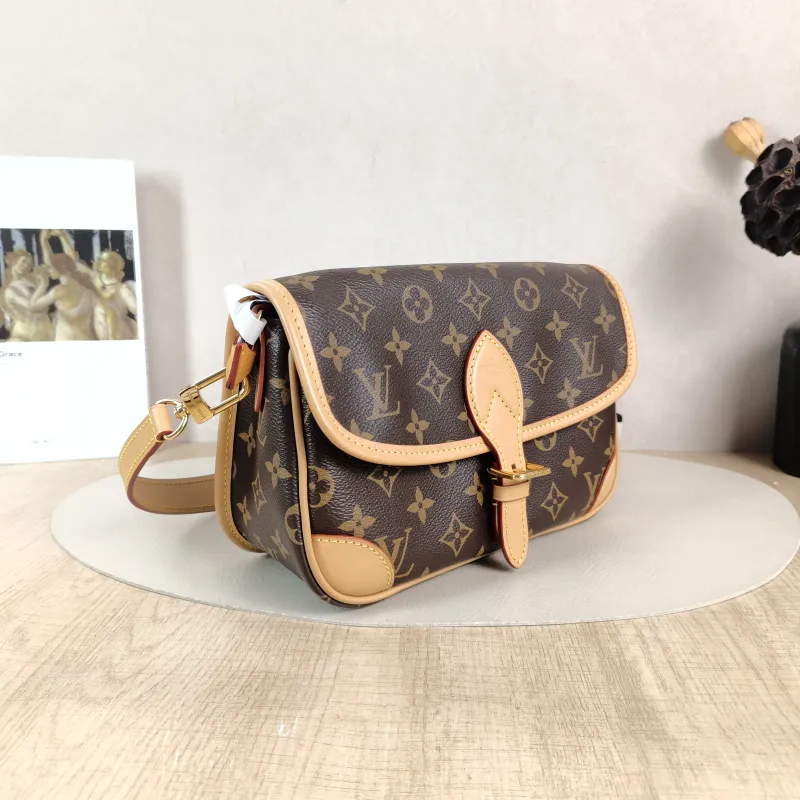 Louis Vuitton Crossbody Bag Diane Baguette Bag Shoulder Strap PVC Small 24 × 9 × 15 cm — cover view 2 of 6