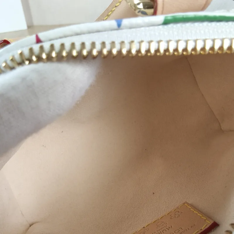 Louis Vuitton Crossbody Bag Speedy Nano Multicolore PVC nano 16 × 7.5 × 10 cm — detail view 2 of 10