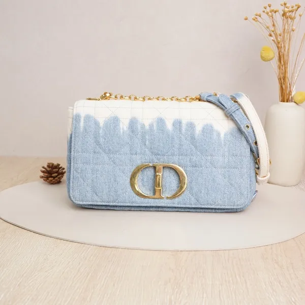 DIOR caro Chain Bag Medium · 25.5 × 9 × 15.5 cm