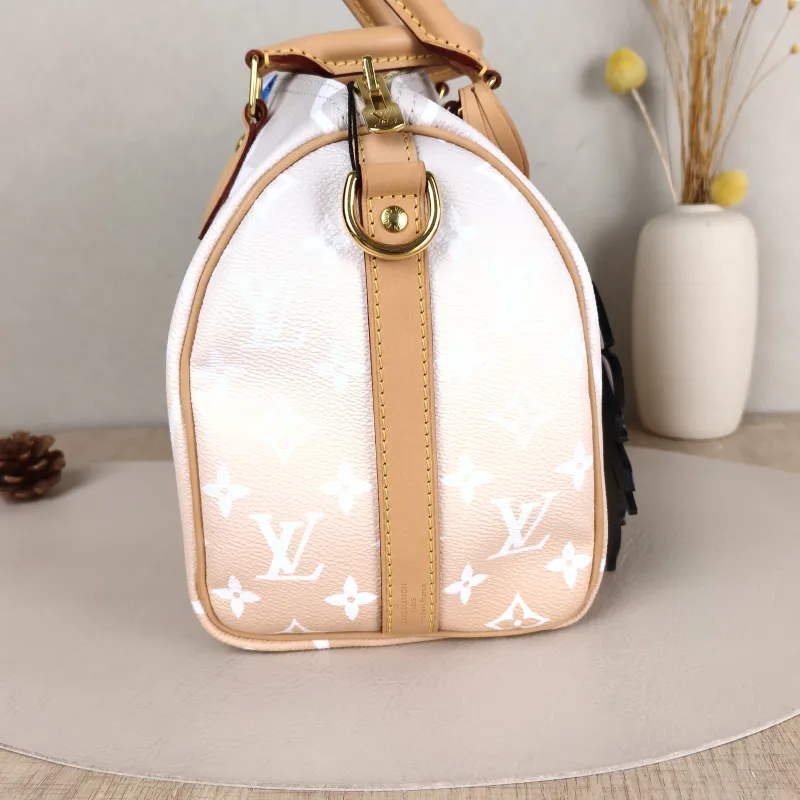 Louis Vuitton Top Handle Bag Speedy25 PVC One Size 25 × 15 × 19 cm — detail view 4 of 12