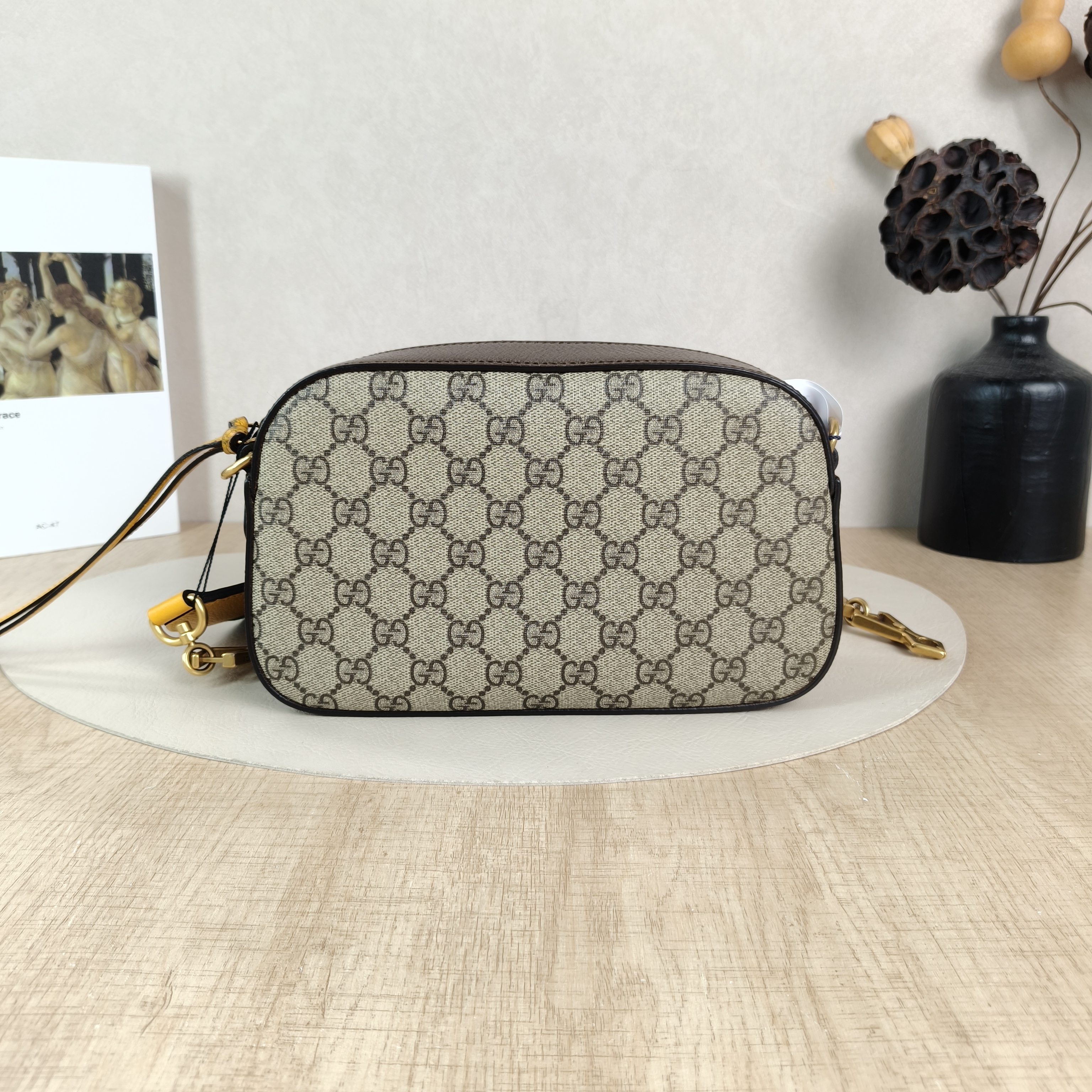 GUCCI Crossbody Bag Neo Vintage Camera Bag Monogram PVC Medium24 × 7 × 14.5 cm — cover view 4 of 6