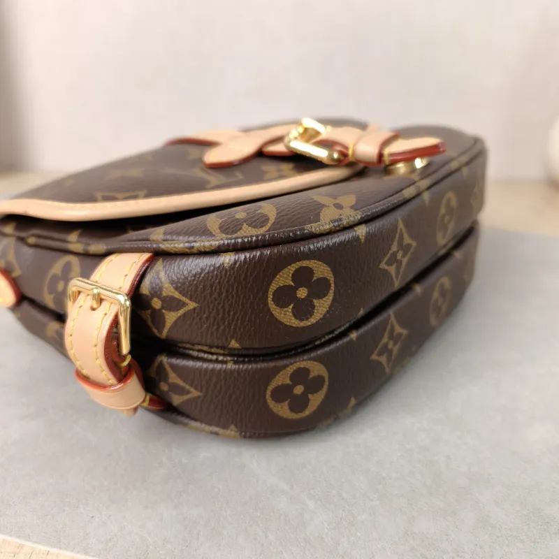 Louis Vuitton Crossbody Bag Saumur BB BB Monogram PVC BB 20 × 8 × 16 cm — detail view 2 of 11