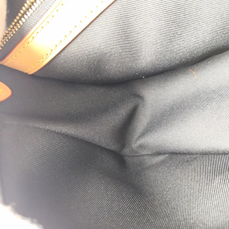 Louis Vuitton Crossbody Bag Diane Baguette Bag Shoulder Strap PVC Small24 × 9 × 15 cm — detail view 13 of 15