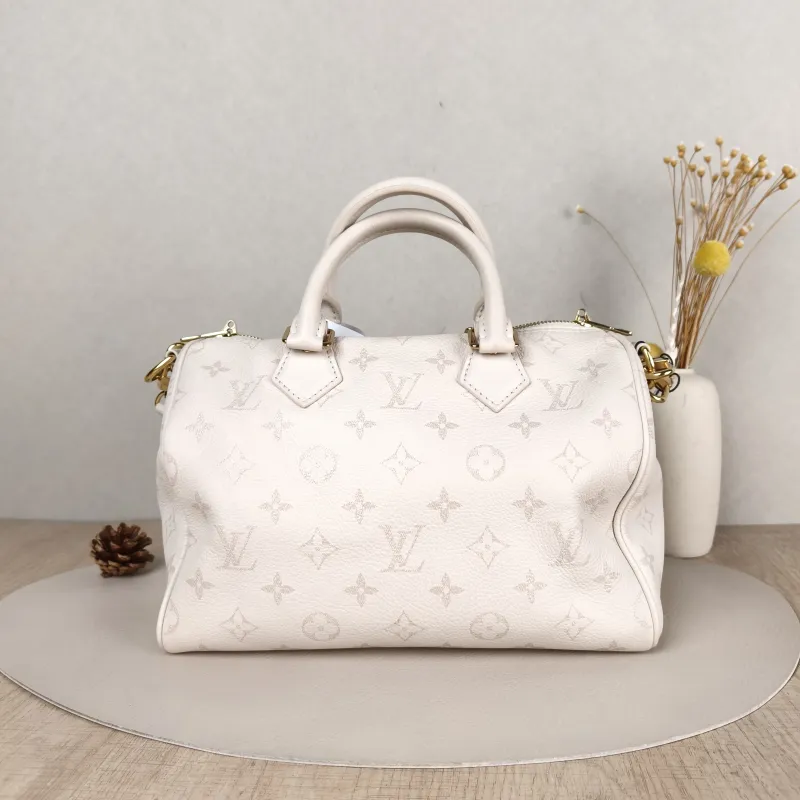 Louis Vuitton Bag — cover view 4 of 6