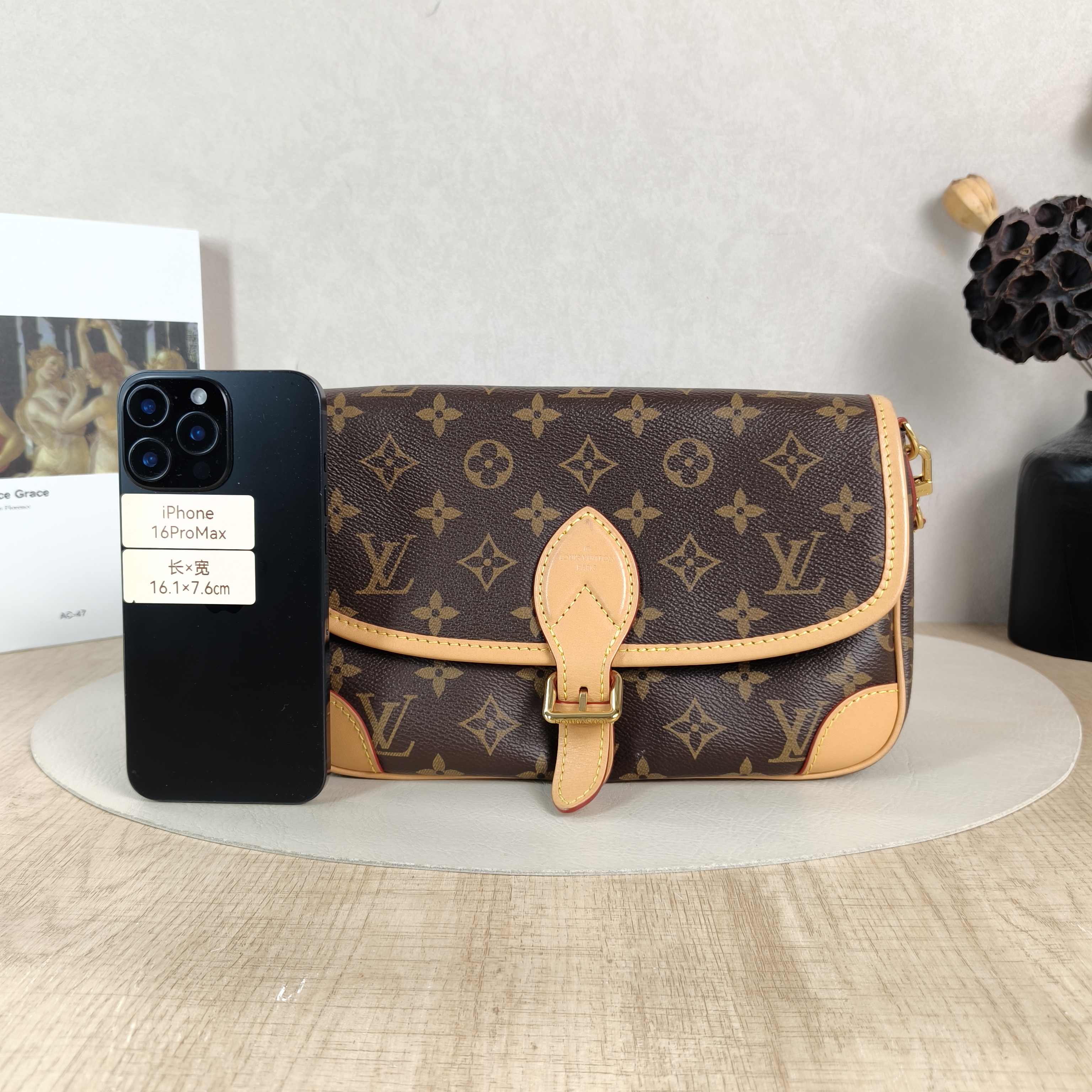Louis Vuitton Crossbody Bag Diane Baguette Bag Shoulder Strap PVC Small24 × 9 × 15 cm — cover view 5 of 5