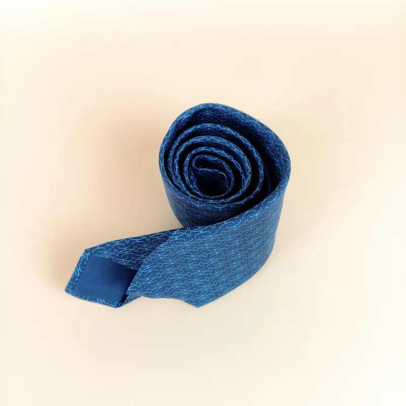 Hermès Blue Silk One Size 146*7cm — cover view 4 of 7