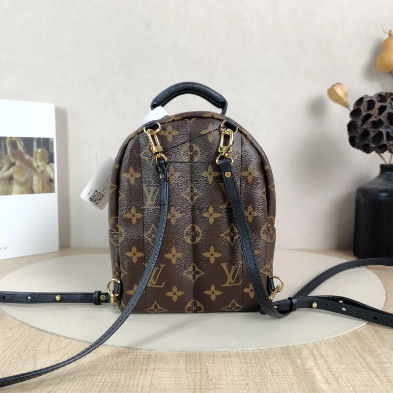 Louis Vuitton Backpack Palm Springs Backpack Monogram PV Cmini17 × 10 × 22 cm — cover view 2 of 5