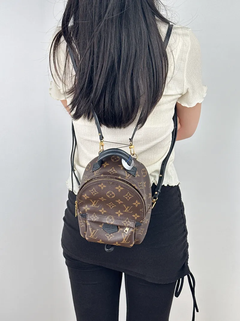 Louis Vuitton Backpack Palm Springs Backpack Monogram PV Cmini17 × 10 × 22 cm — on-model view 2 of 2