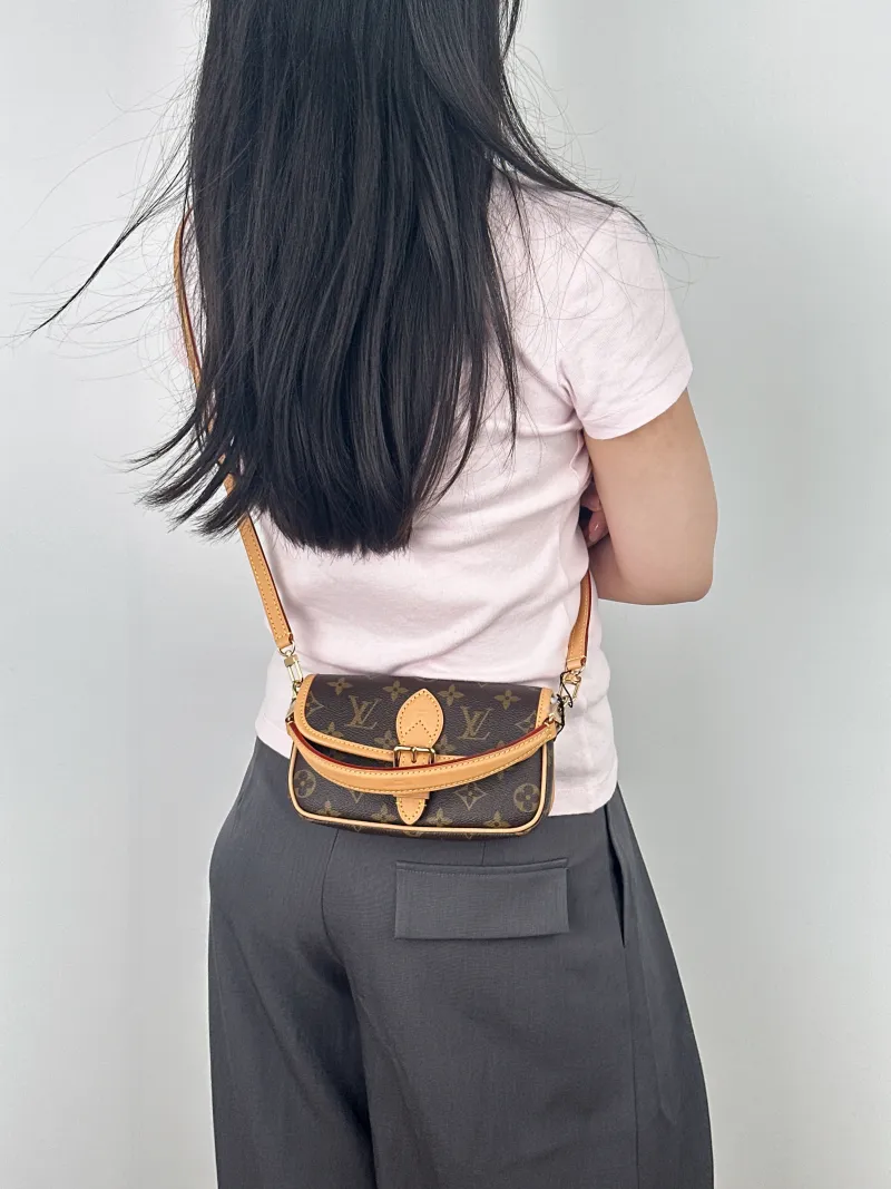 Louis Vuitton Crossbody Bag Diane Baguette Bag Monogram PV Cnano19 × 6 × 10.5 cm — on-model view 1 of 2