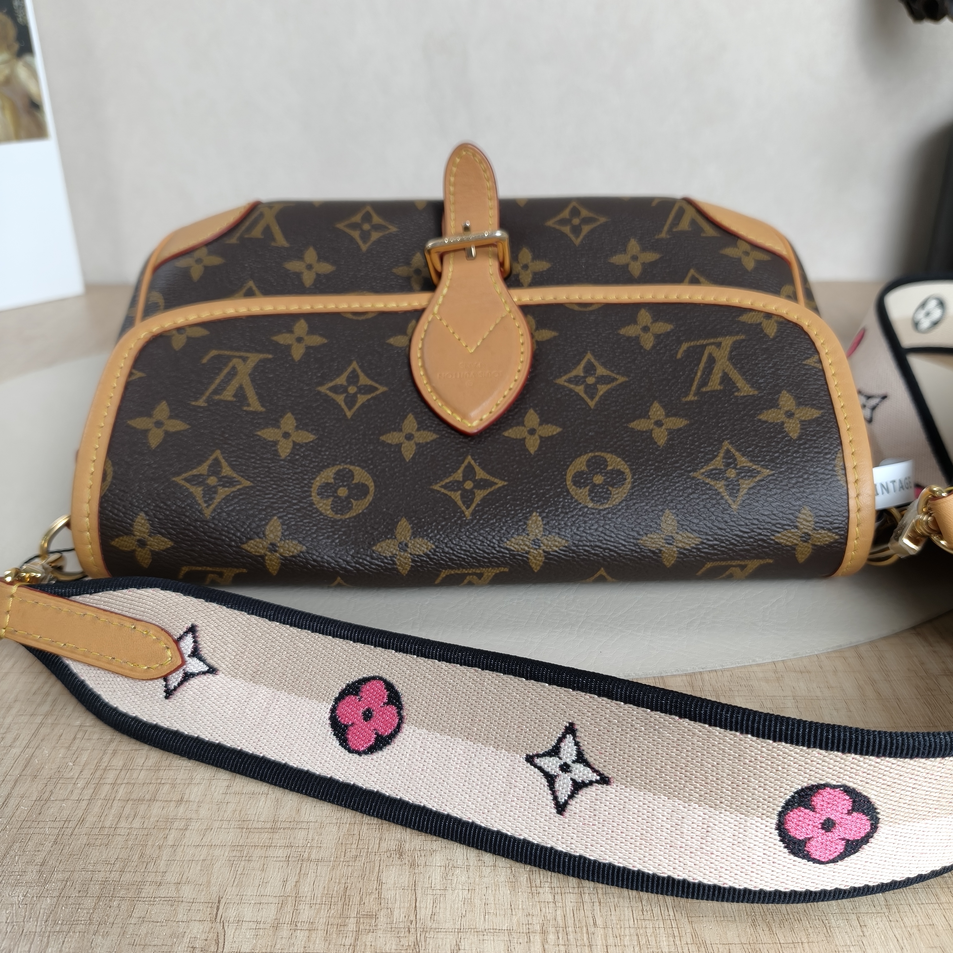 Louis Vuitton Crossbody Bag Diane Baguette Bag Shoulder Strap PVC Small24 × 9 × 15 cm — cover view 8 of 11