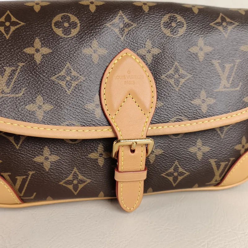 Louis Vuitton Crossbody Bag Diane Baguette Bag Shoulder Strap PVC Small 24 × 9 × 15 cm — detail view 5 of 12