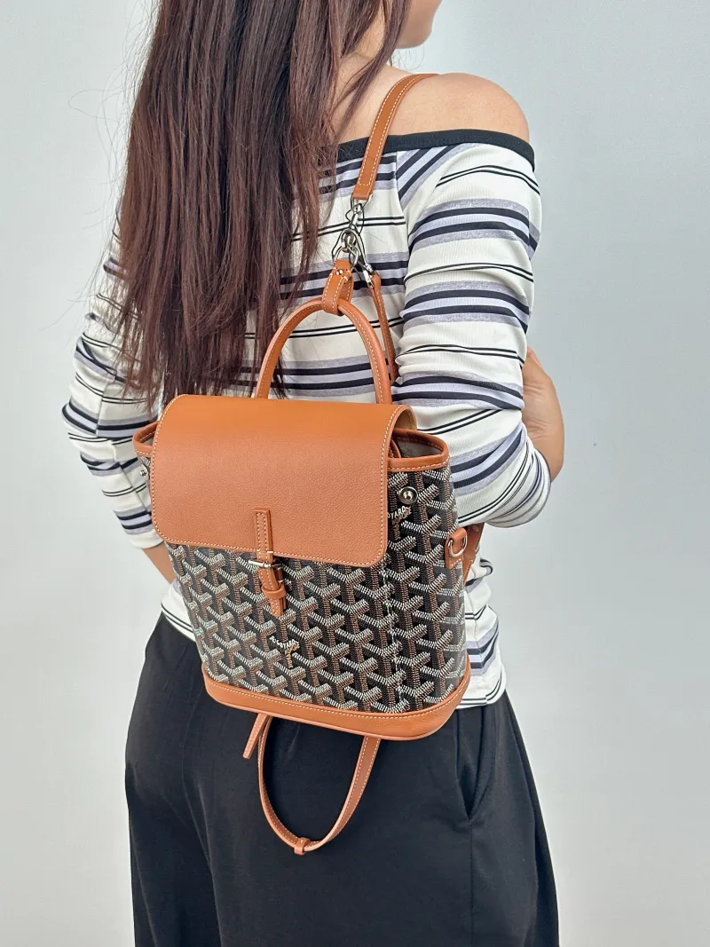 GOYARD Crossbody Bag ALPIN Backpack Brown ine Canvas Mini 19 × 9.5 × 23 cm — on-model view 1 of 3