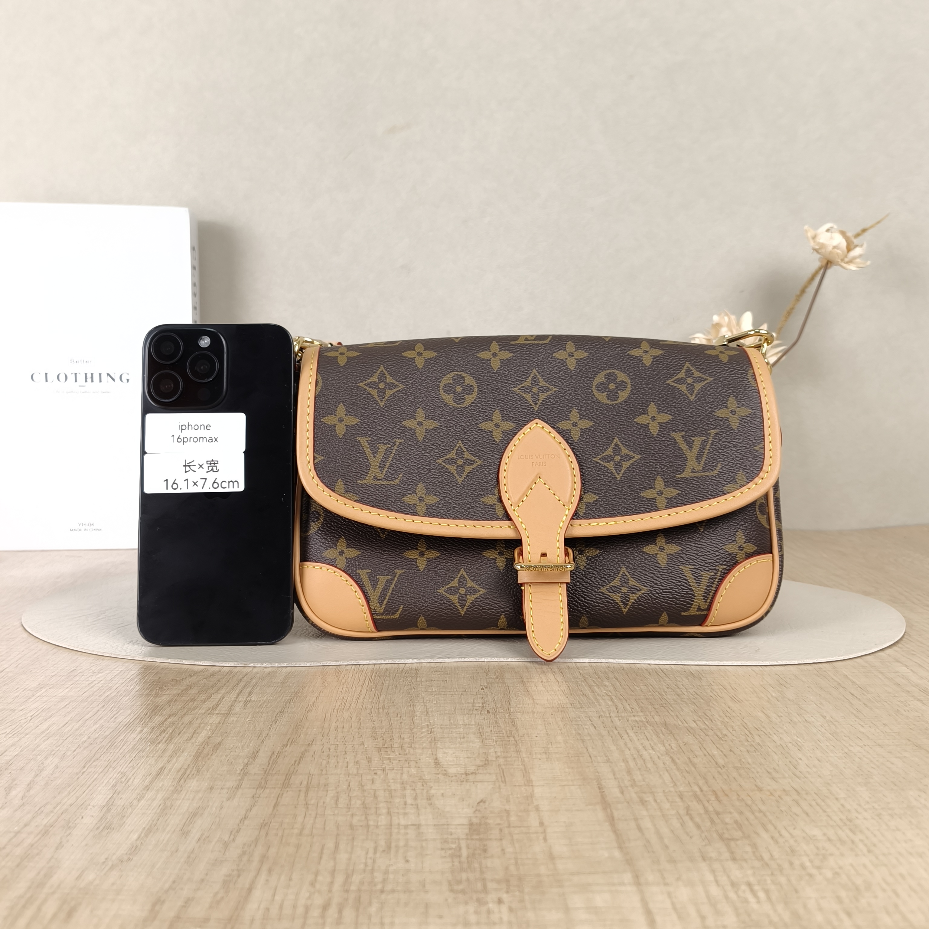 Louis Vuitton Crossbody Bag Diane Baguette Bag Shoulder Strap PVC Small24 × 9 × 15 cm — cover view 3 of 5