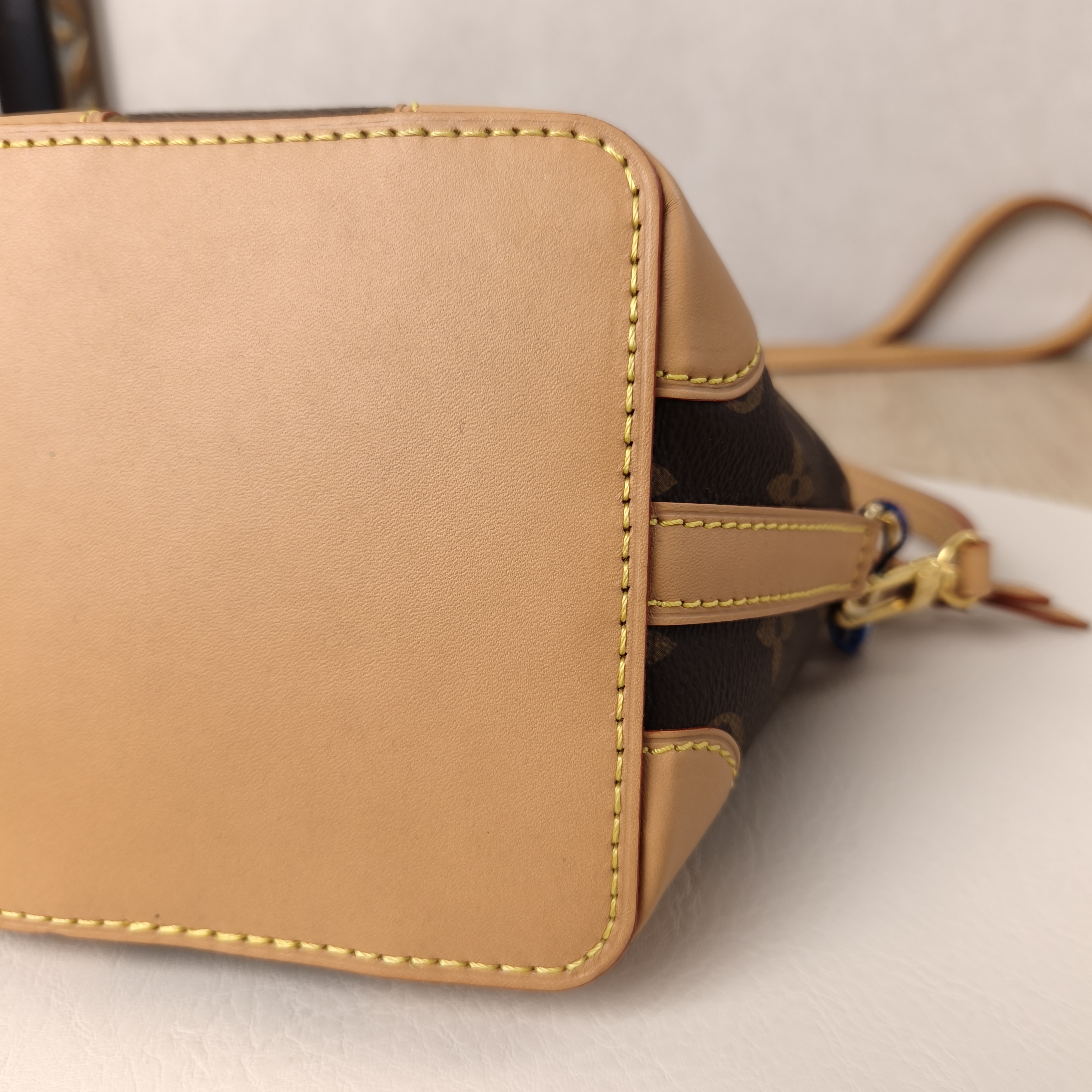 Louis Vuitton Crossbody Bag NOÉ PURSE Monogram PV Cmini11.5 × 11.5 × 12 cm — cover view 9 of 11