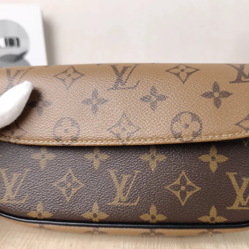 Louis Vuitton Bag — detail view 10 of 13