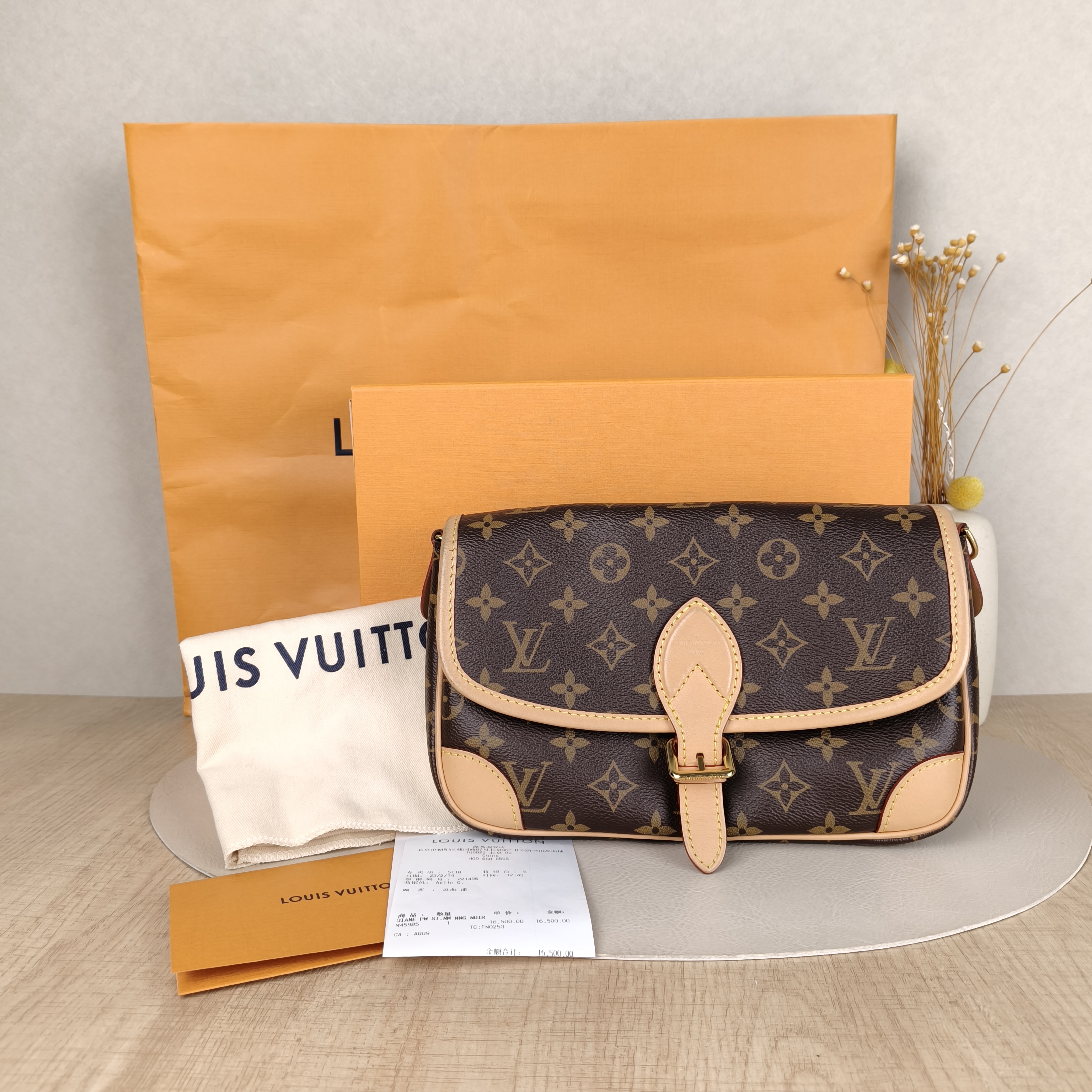 Louis Vuitton Crossbody Bag Diane Baguette Bag Monogram Shoulder Strap PVC Small24 × 9 × 15 cm — cover view 3 of 6