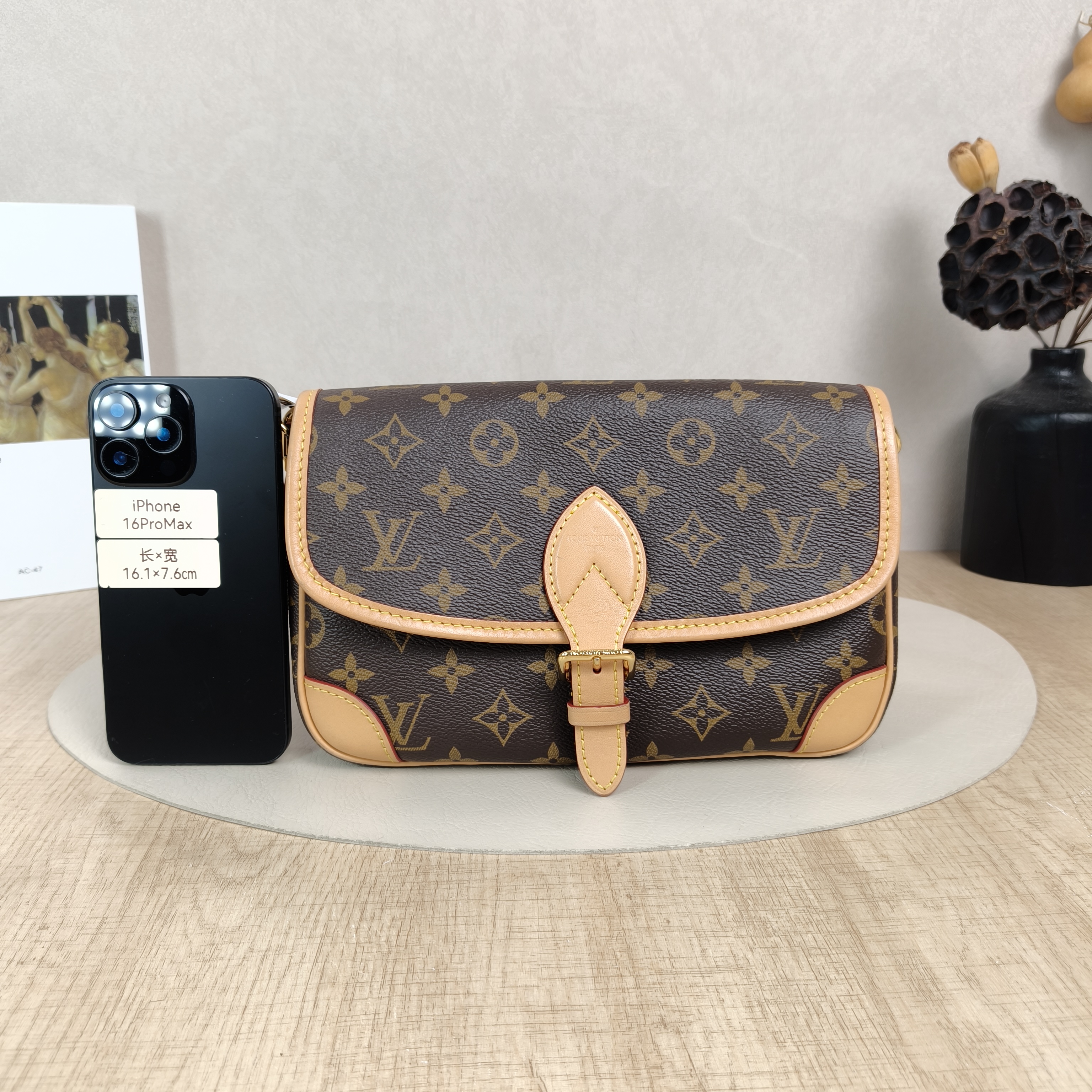 Louis Vuitton Crossbody Bag Diane Baguette Bag Shoulder Strap PVC Small24 × 9 × 15 cm — cover view 2 of 5