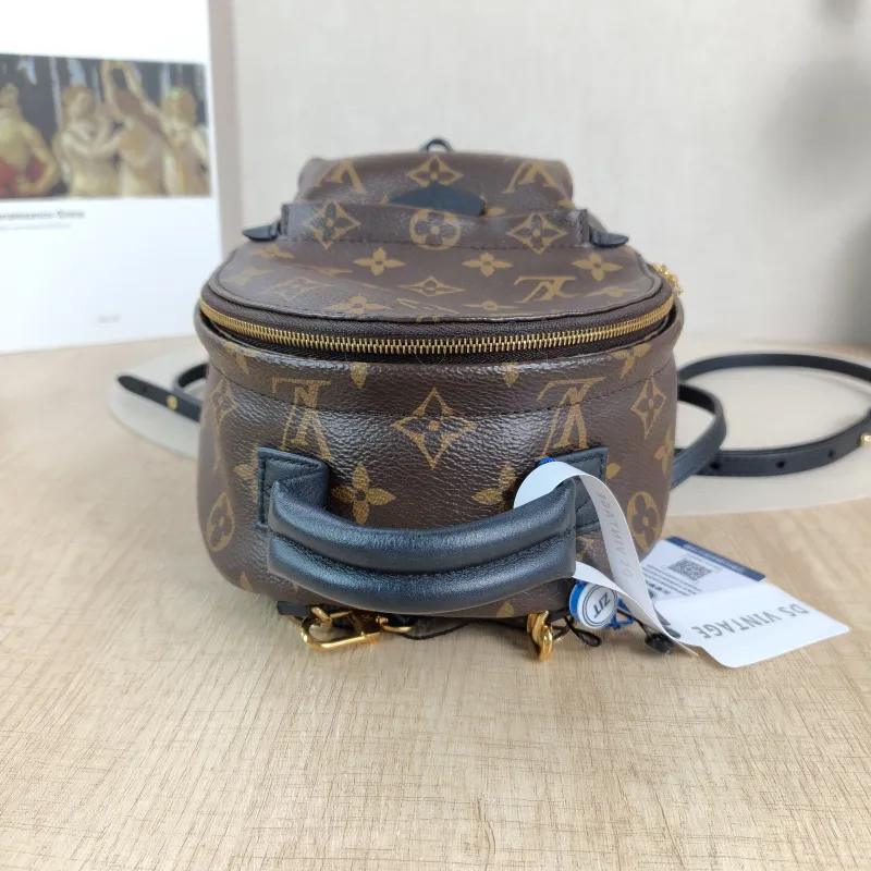 Louis Vuitton Backpack Palm Springs Backpack Monogram PV Cmini17 × 10 × 22 cm — detail view 4 of 10