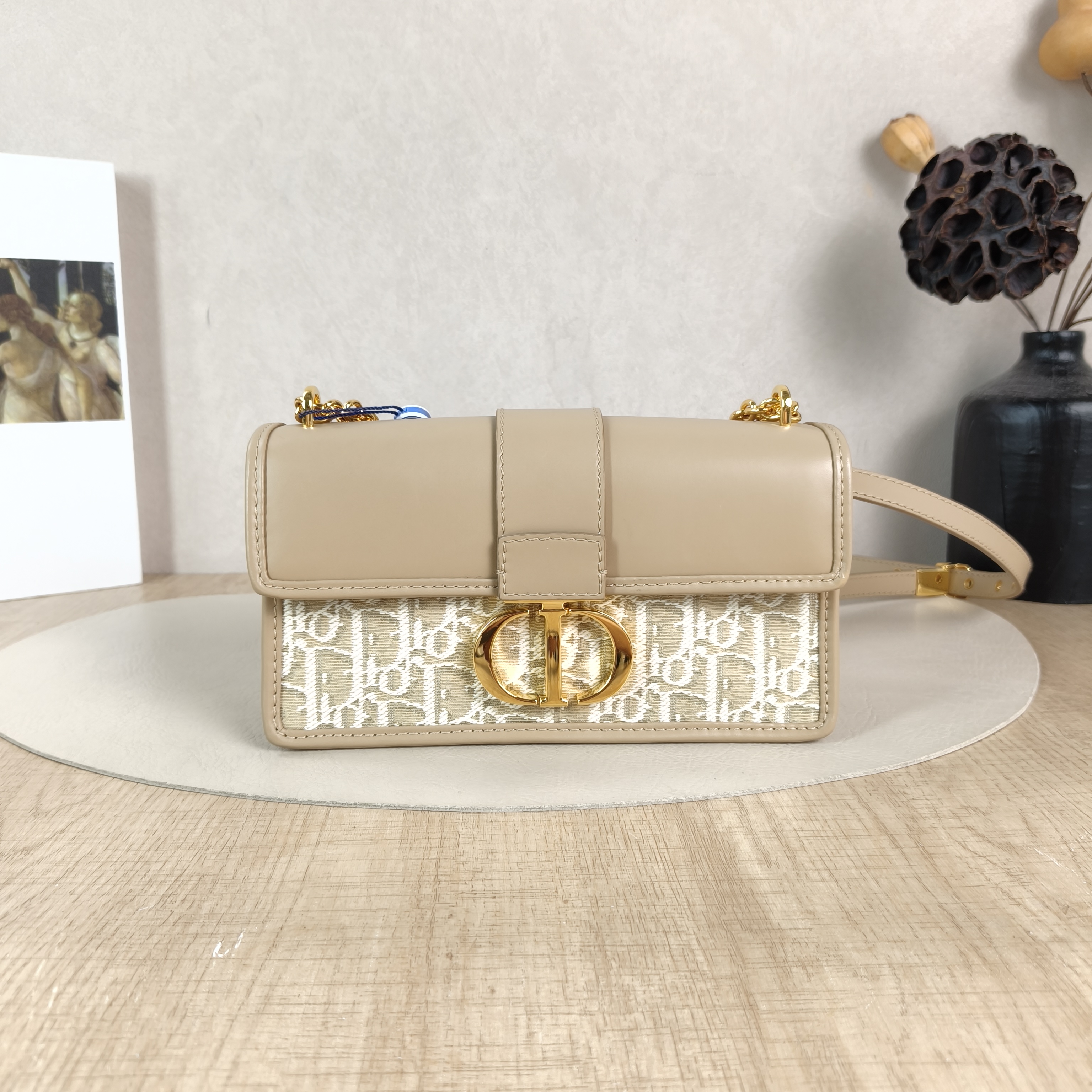 DIOR Crossbody Bag30 Montaigne East-West 30 Canvas Small21 × 6 × 12 cm