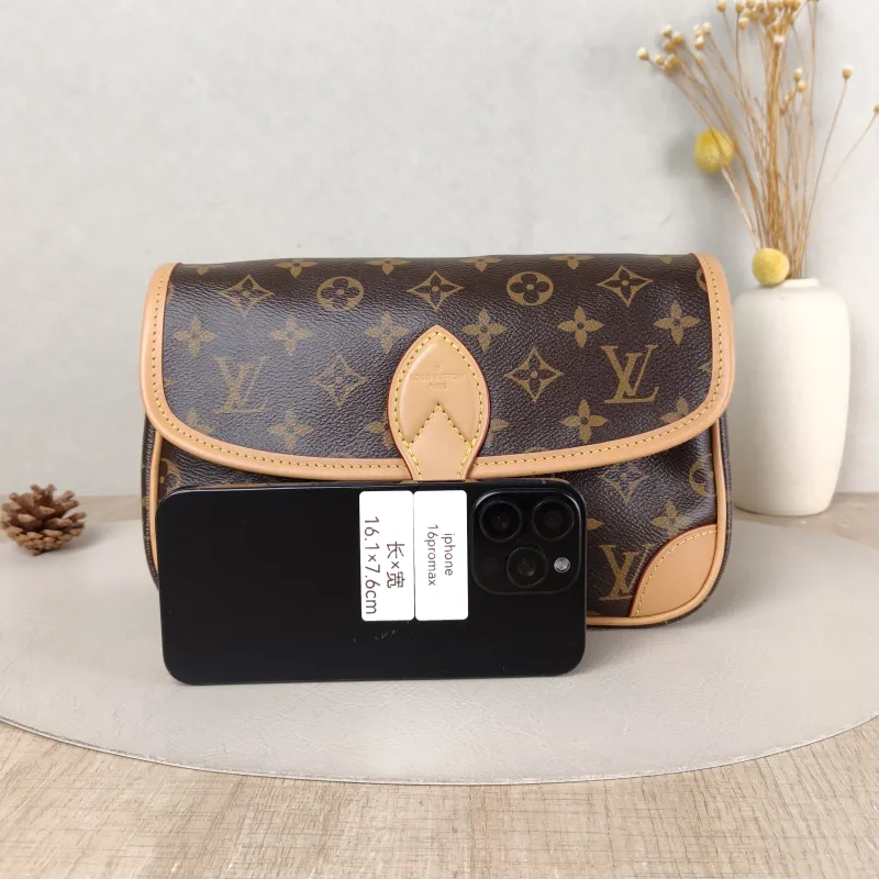 Louis Vuitton Crossbody Bag Diane Baguette Bag Shoulder Strap PVC Small 24 × 9 × 15 cm — cover view 5 of 5