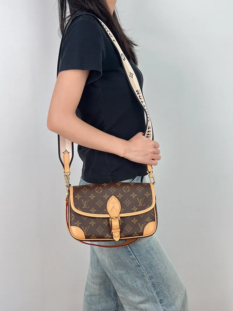 Louis Vuitton Crossbody Bag Diane Baguette Bag Shoulder Strap PVC Small 24 × 9 × 15 cm — on-model view 2 of 3