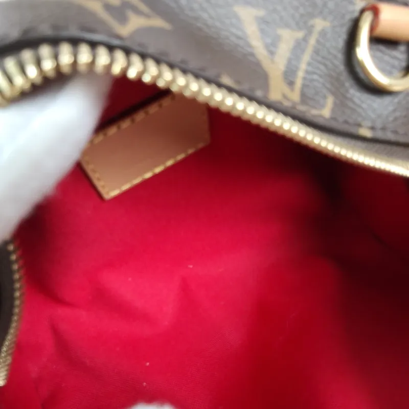 Louis Vuitton Crossbody Bag Nano Speedy Dating Monogram PV Cnano18 × 11.5 × 10.5 cm — detail view 4 of 11