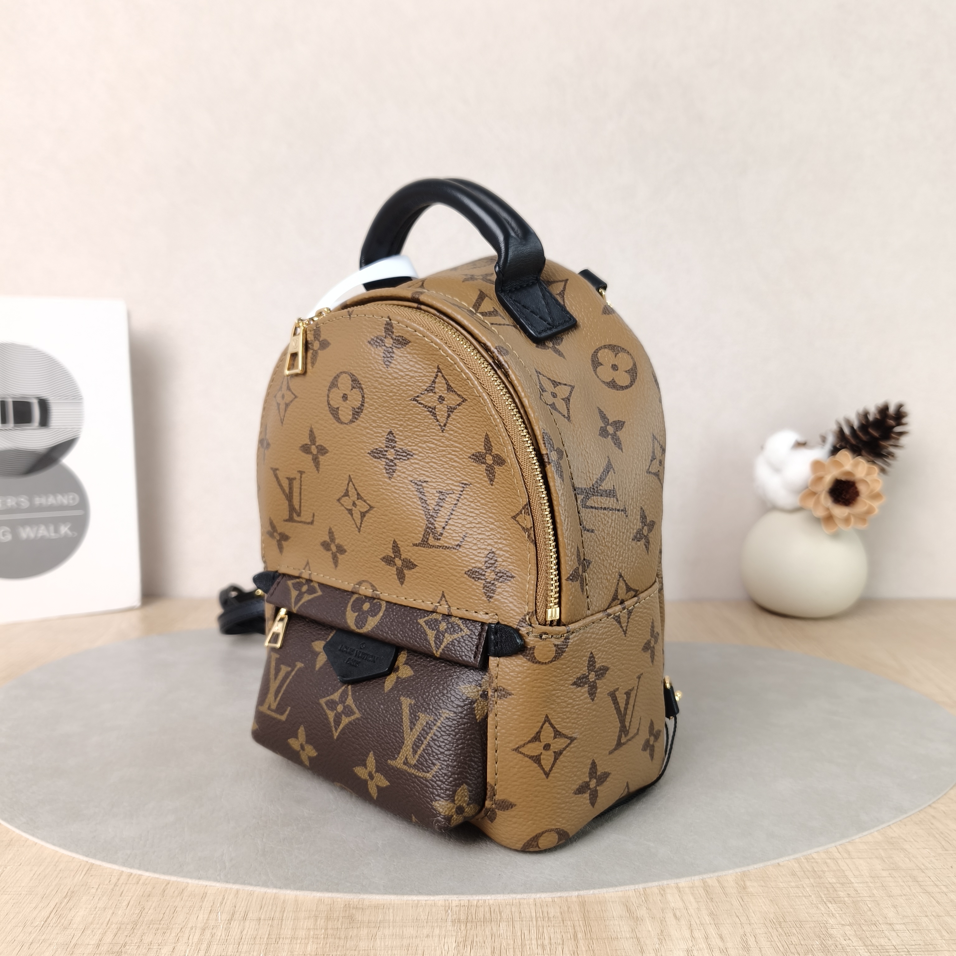 Louis Vuitton Backpack Palm Springs Backpack Monogram PV Cmini17 × 10 × 22 cm — cover view 3 of 5