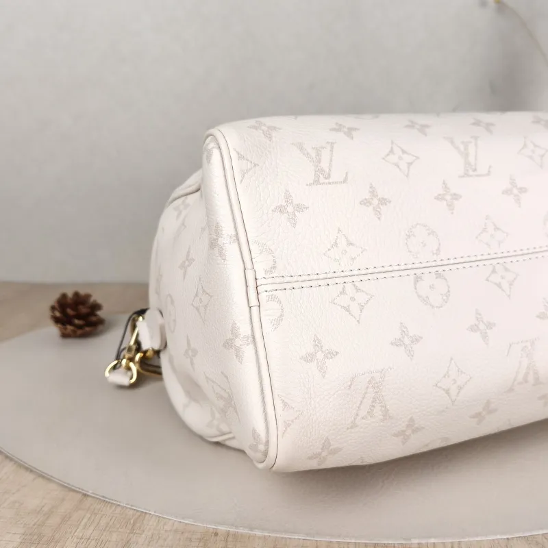 Louis Vuitton Bag — detail view 12 of 14