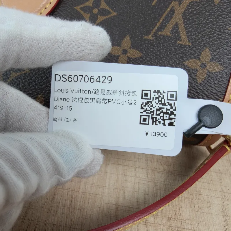 Louis Vuitton Crossbody Bag Diane Baguette Bag Shoulder Strap PVC Small24 × 9 × 15 cm — detail view 14 of 15